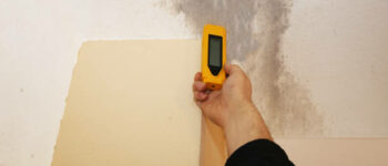 When Is Mold Remediation Required? 8 Signs of Mold Growth