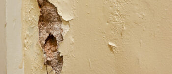 How Long Before Water Damage Causes Drywall to Rot?