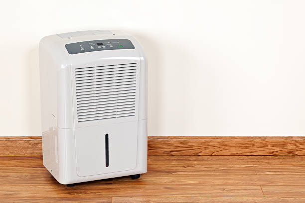 How Long To Run the Dehumidifier After Water Damage