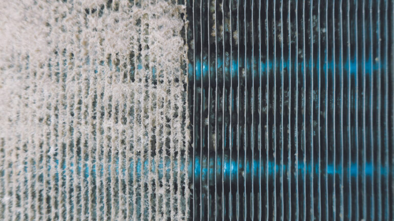 Ways to Improve Air Quality in Your Home